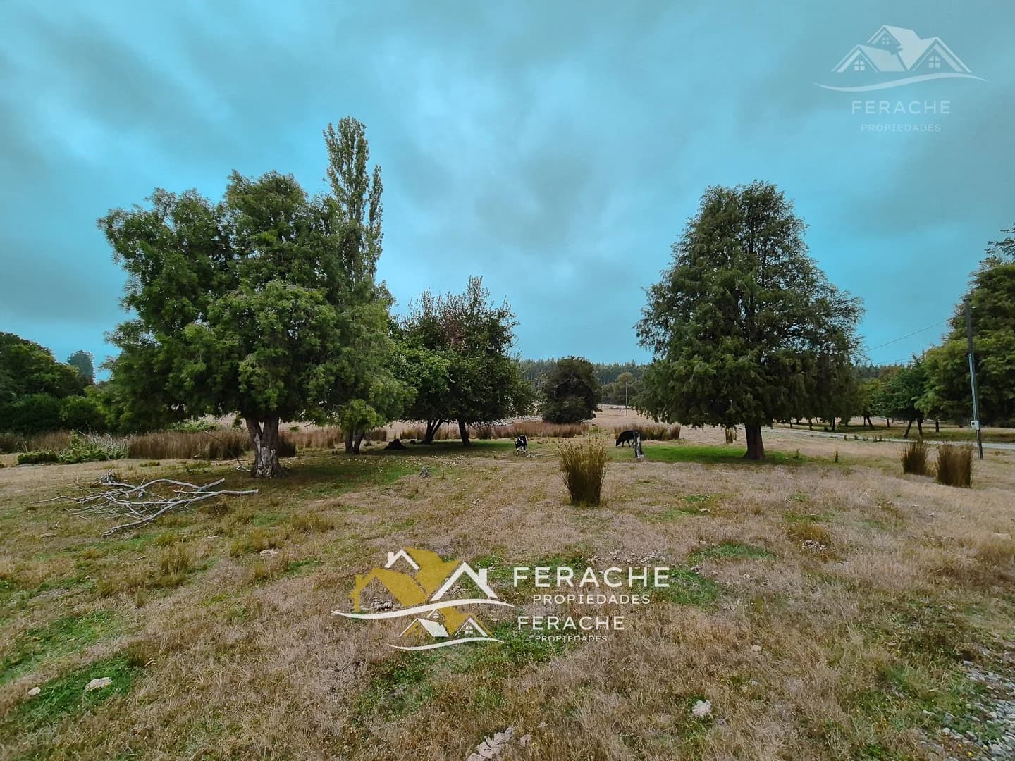 Tu parcela de 5.000 m² en Ñanculén: naturaleza, camino asfaltado y listas para escriturar, La Unión